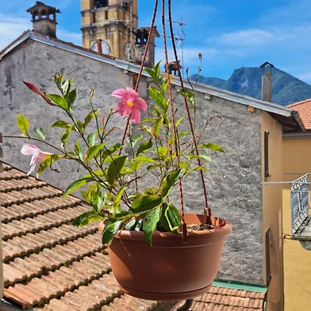 Antonio's Holiday home Colonno